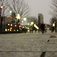 スケボー通販ショップHi5 Skateboardingのブログ 春も近いし、地元のスポットを見てきた。
